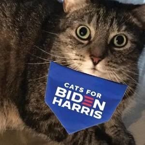 Meet your Posher, Jeffrey